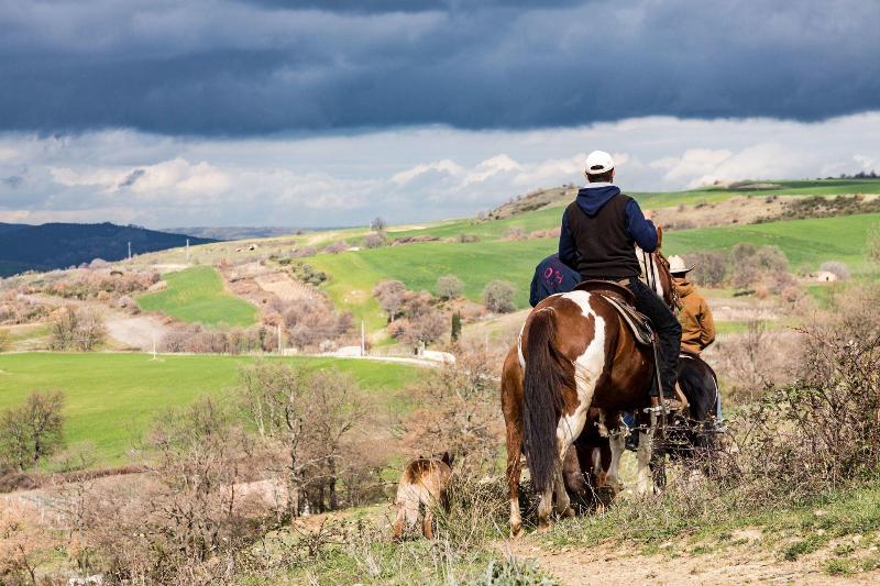 Masseria Straziuso La Vaccariccia - Aktivite