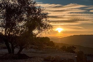 Masseria Straziuso La Vaccariccia fotoÄŸrafÄ±