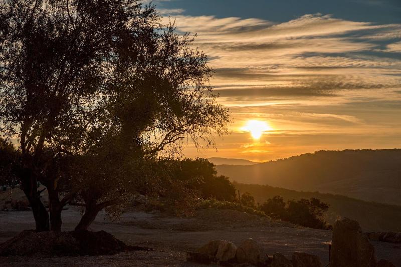 Masseria Straziuso La Vaccariccia - Genel