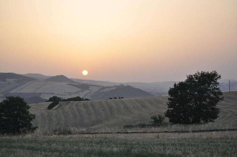 Masseria Straziuso La Vaccariccia - Genel