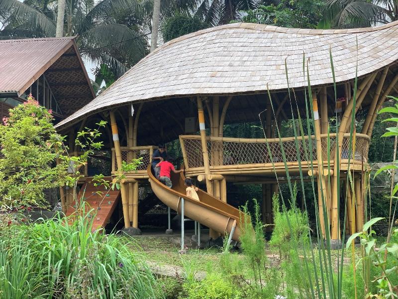 Mana Earthly Paradise Hostel - Aktivite
