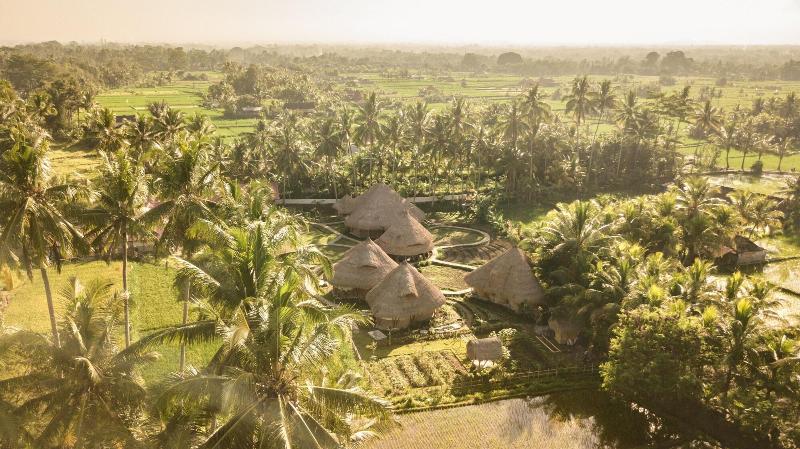 Mana Earthly Paradise Hostel - Genel