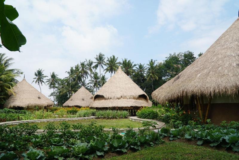 Mana Earthly Paradise Hostel - Genel
