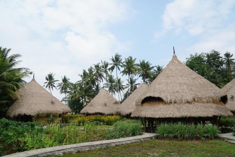 Mana Earthly Paradise Hostel - Genel