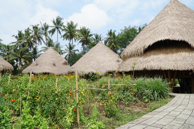 Mana Earthly Paradise Hostel - Genel