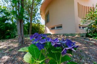 B B Villa Zola otel fotoğrafı