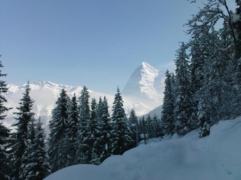 Pension Gimmelwald - Aktivite
