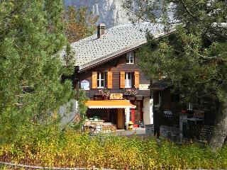 Pension Gimmelwald otel fotoğrafı