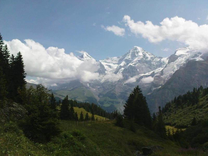 Pension Gimmelwald - Genel