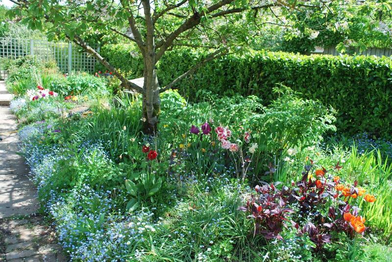 Hillcroft Luxury Bed Breakfast - Genel