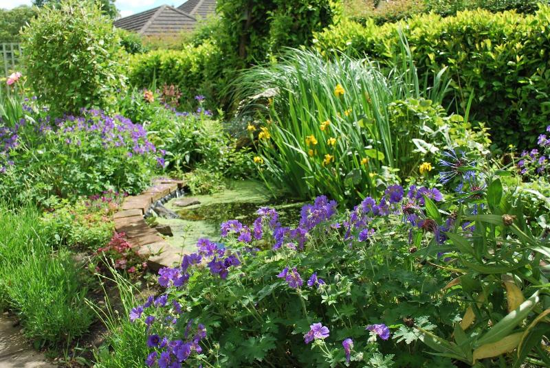 Hillcroft Luxury Bed Breakfast - Genel