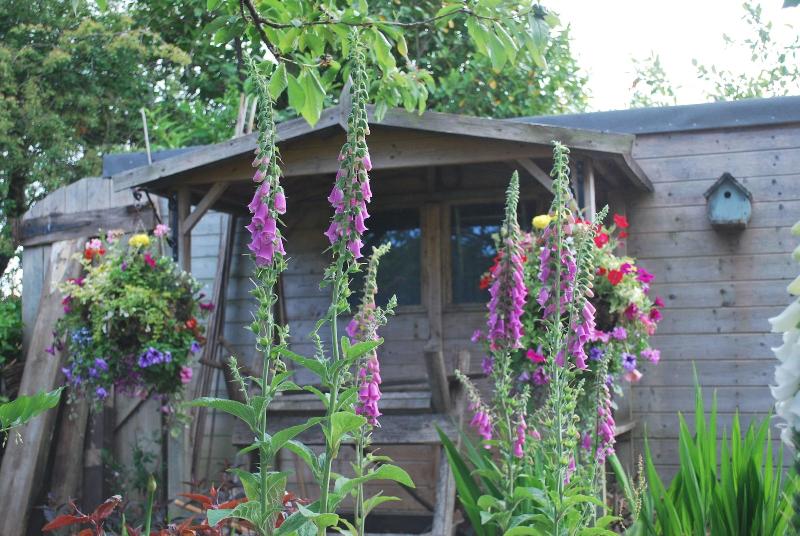 Hillcroft Luxury Bed Breakfast - Oda