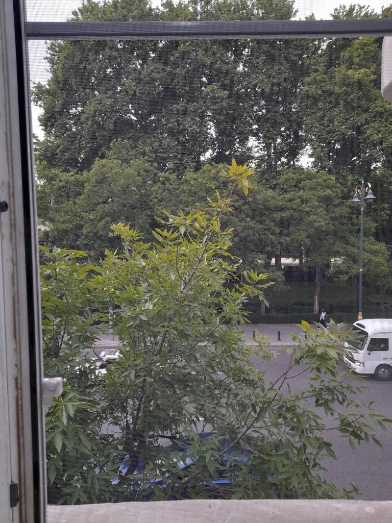White City Hostel - Oda