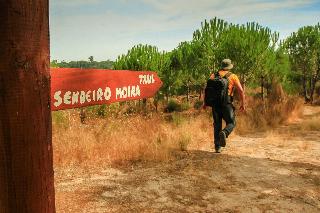 Cha O Do Rio Turismo De Aldeia fotoÄŸrafÄ±