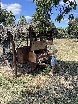 Cha O Do Rio Turismo De Aldeia fotoÄŸrafÄ±