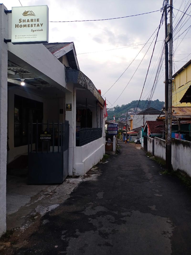 Express O 91597 Sharie Homestay Syariah - Genel