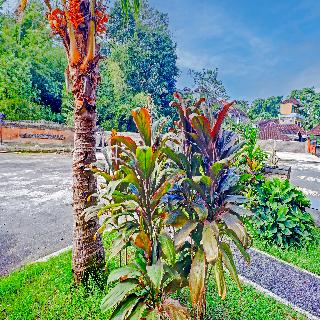 Batukaru Garden Hotel fotoÄŸrafÄ±