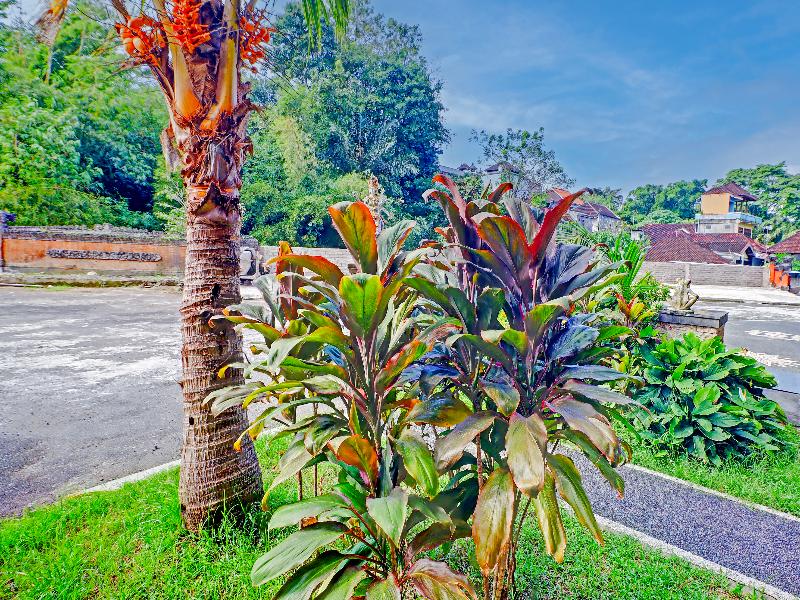 Batukaru Garden Hotel - Lobi