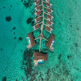 Avani+ Fares Maldives Resort fotoÄŸrafÄ±