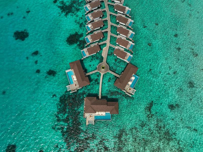 Avani+ Fares Maldives Resort - Aktivite