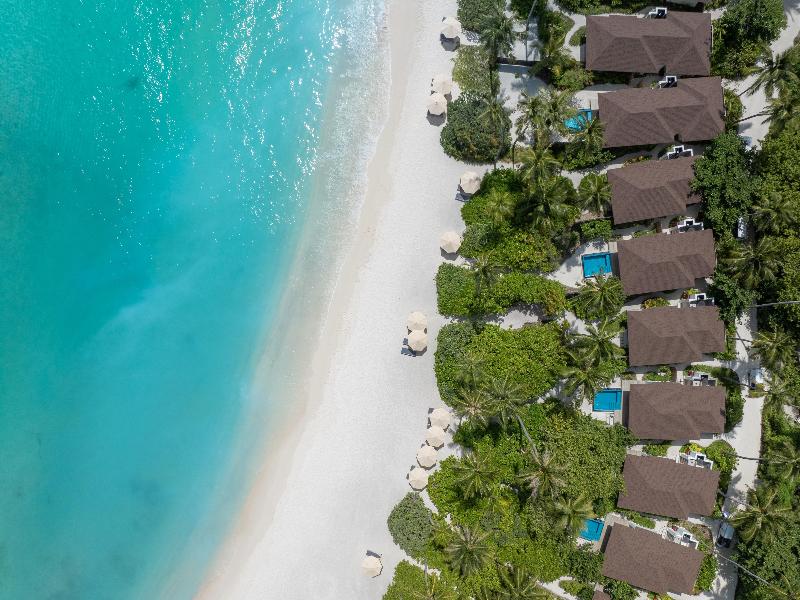 Avani+ Fares Maldives Resort - Genel
