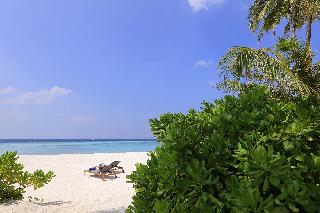 Avani+ Fares Maldives Resort fotoÄŸrafÄ±