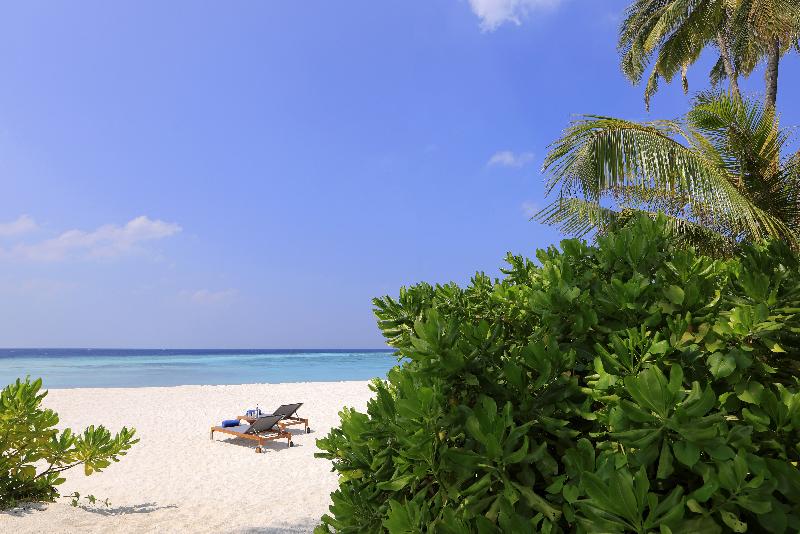Avani+ Fares Maldives Resort - Oda