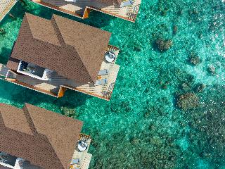 Avani+ Fares Maldives Resort fotoÄŸrafÄ±