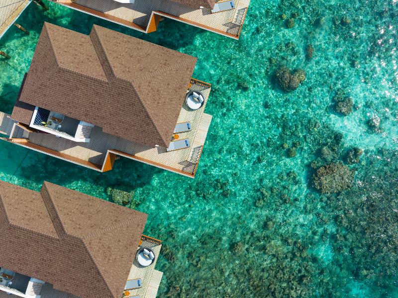 Avani+ Fares Maldives Resort - Oda