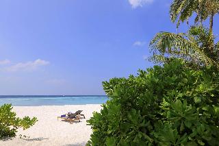 Avani+ Fares Maldives Resort fotoÄŸrafÄ±