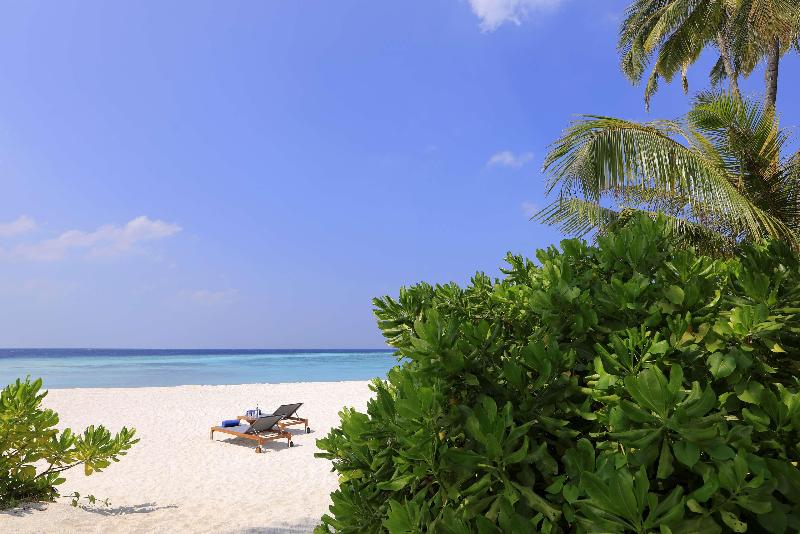 Avani+ Fares Maldives Resort - Plaj