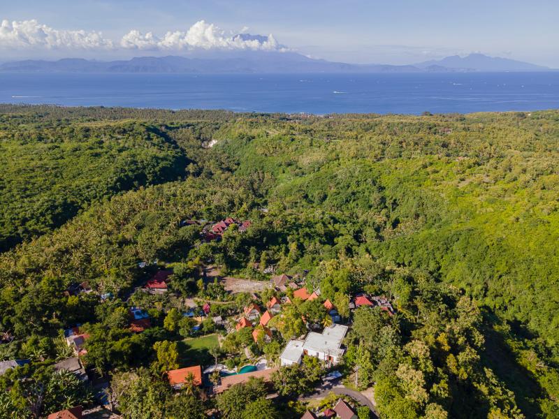 Deep Roots Dive & Yoga Resort - Genel