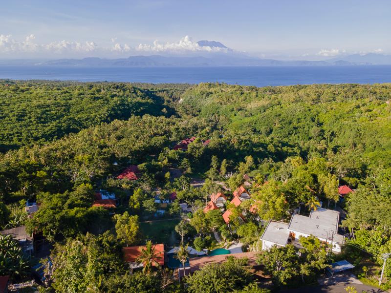 Deep Roots Dive & Yoga Resort - Genel