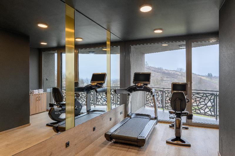 Minaro Hotel Tokaj - MGallery - Aktivite