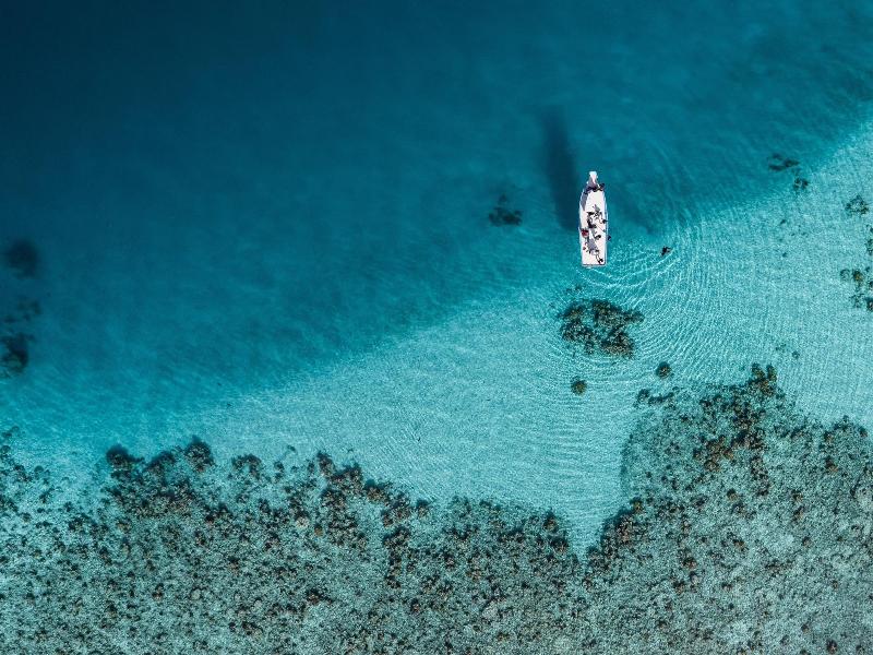 One The Island - Aktivite