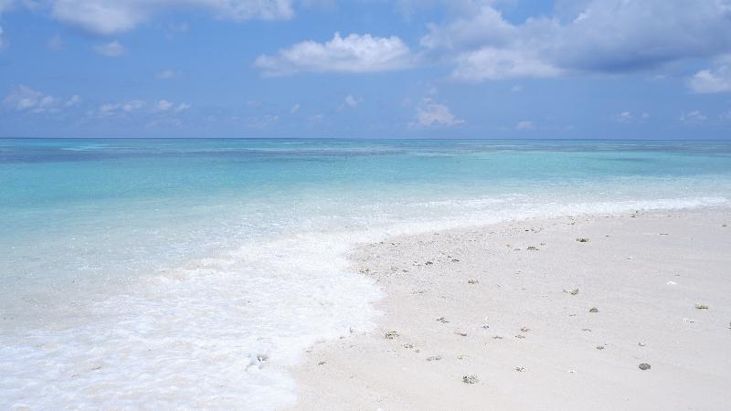 One The Island - Genel