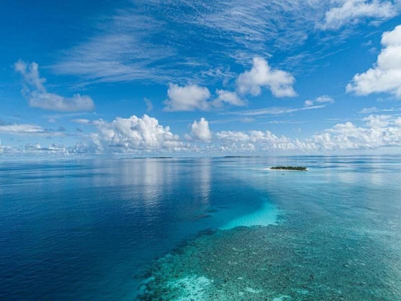 One The Island - Genel