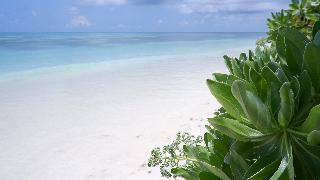 One The Island fotoÄŸrafÄ±