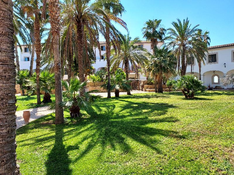 Al Balhara Resort & Spa - Genel