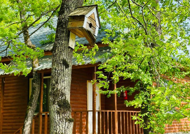 Deluxe Park Qusar Resort & Spa Hotel - Genel