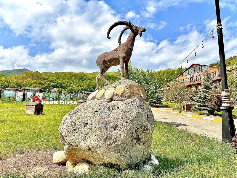 Deluxe Park Qusar Resort & Spa Hotel - Genel