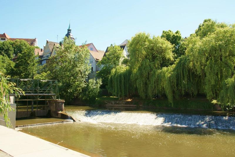 Taste Smart Hotel Backnang - Genel