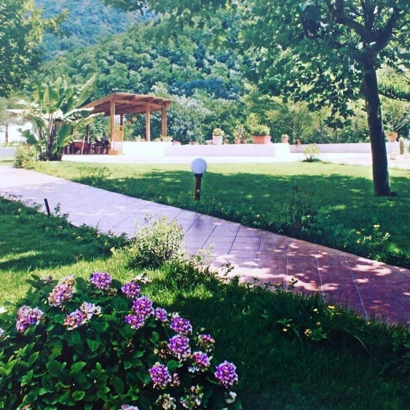 Hotel Parco Delle Rose - Genel