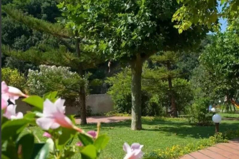 Hotel Parco Delle Rose - Genel