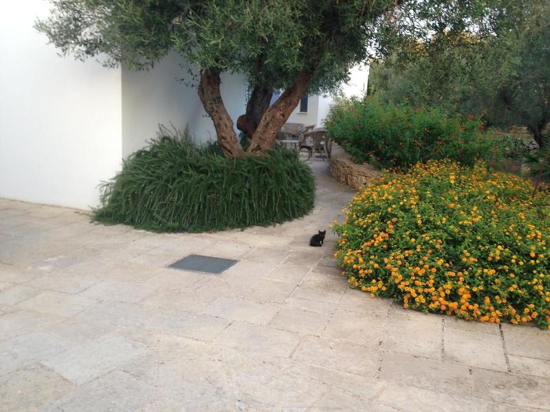 Tenuta De Marco - Genel