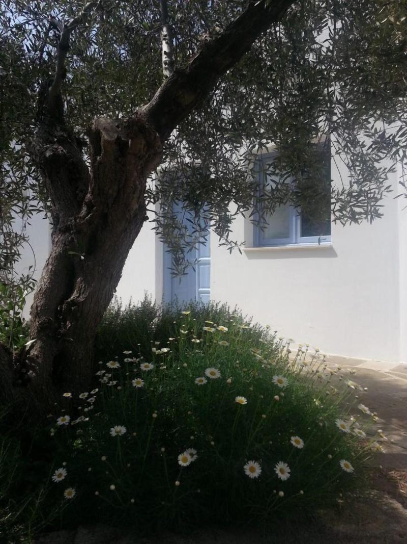 Tenuta De Marco - Genel