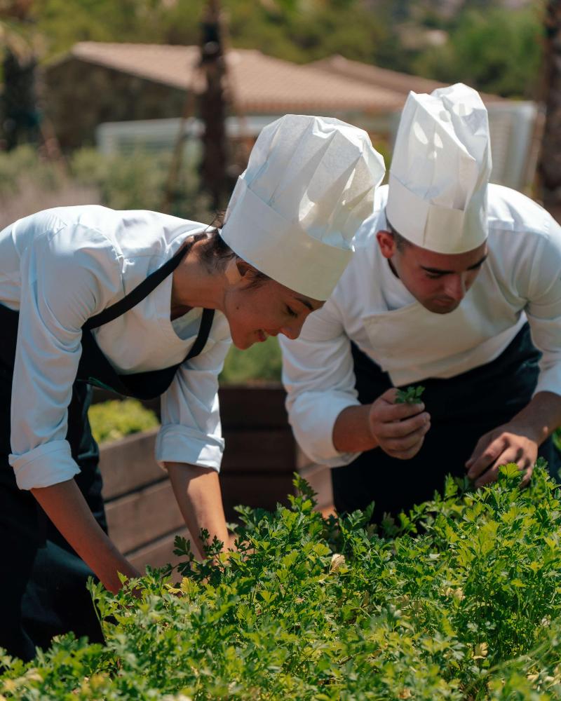 7pines Resort Sardinia Destination By Hyatt - Genel