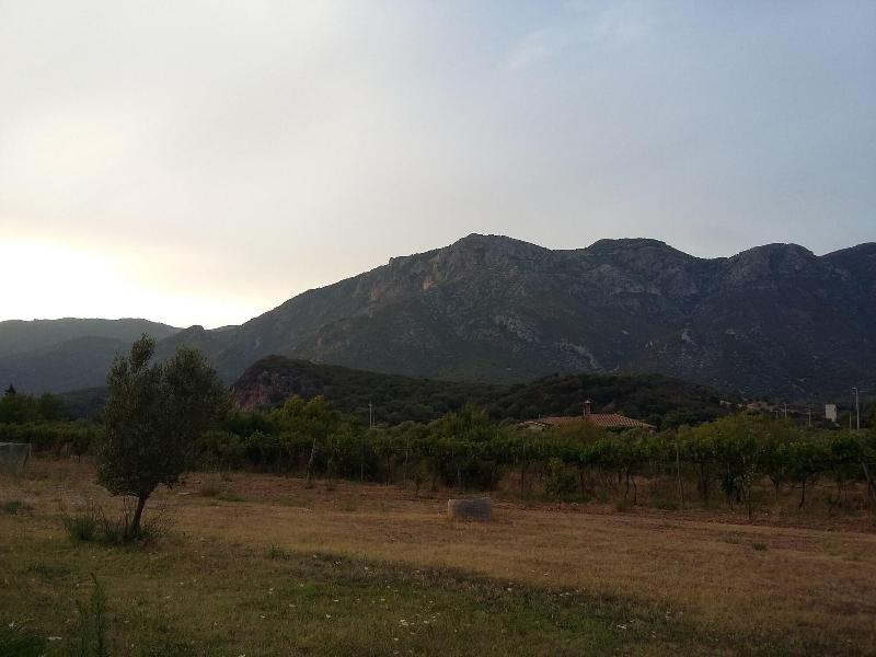 Agriturismo Sogno Latino - Genel