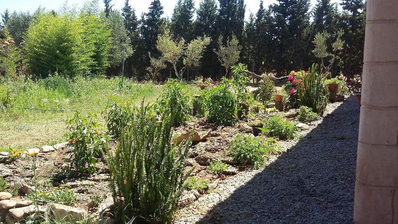 Agriturismo Sogno Latino - Genel