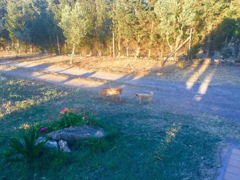 Agriturismo Sogno Latino - Genel